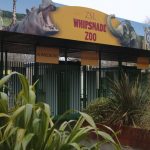 printed wayfinding signage for whipsnade zoo